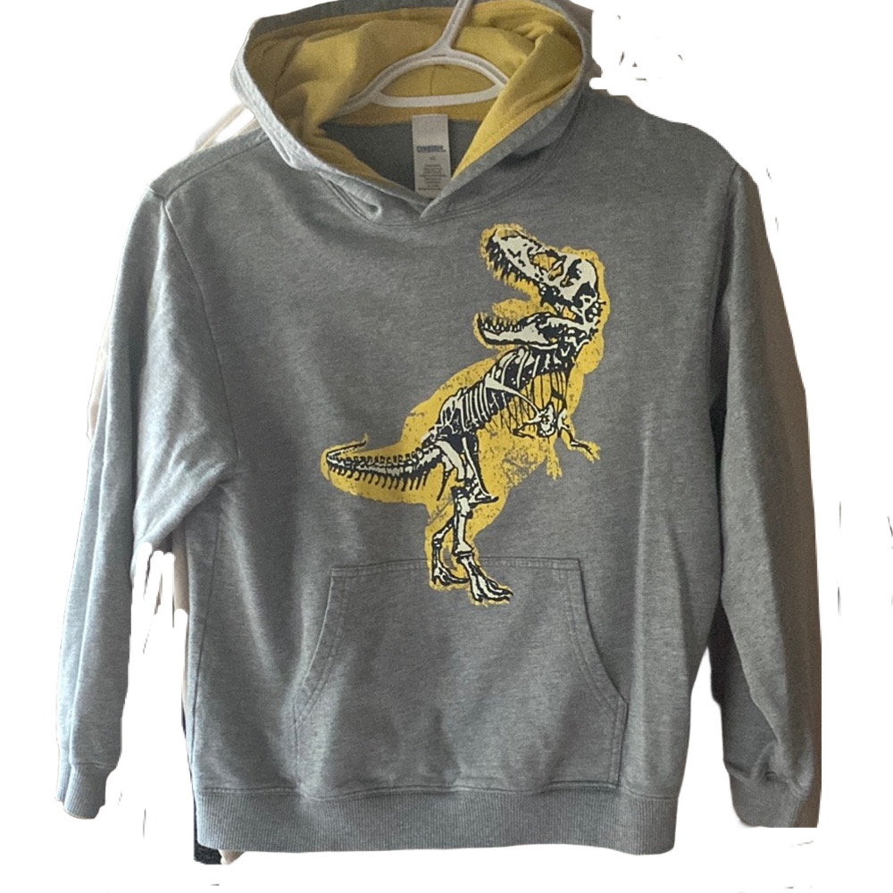 $5 add on. Gymboree Gray and Yellow Dinosaur Hoodie
